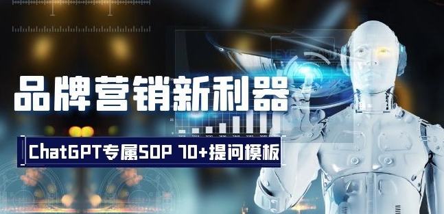 品牌营销新利器：ChatGPT专属SOP，70+提问模板【文档】 - 163资源网-163资源网