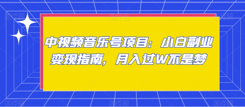 中视频音乐号项目：小白副业变现指南，月入过W不是梦【揭秘】 - 163资源网-163资源网