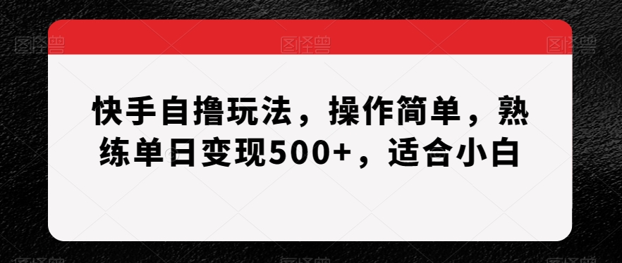 快手自撸玩法，操作简单，熟练单日变现500+，适合小白【揭秘】 - 163资源网-163资源网