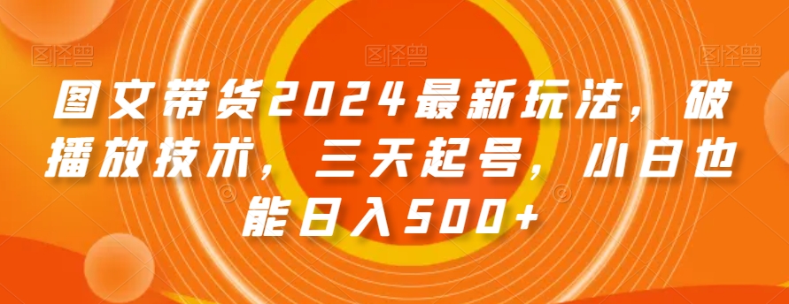 图文带货2024最新玩法，破播放技术，三天起号，小白也能日入500+【揭秘】 - 163资源网-163资源网