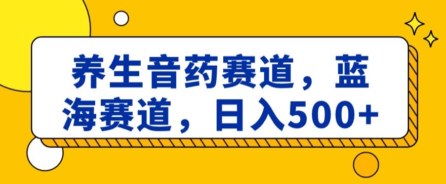 养生音药赛道，蓝海赛道，日入500+【揭秘】 - 163资源网-163资源网