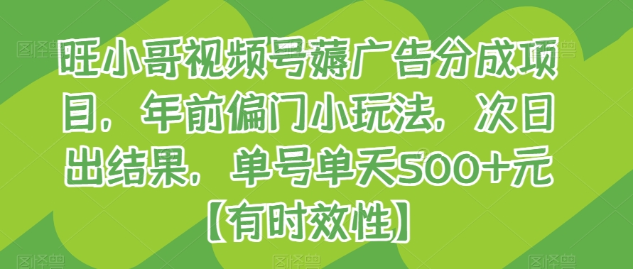 旺小哥视频号薅广告分成项目，年前偏门小玩法，次日出结果，单号单天500+元【有时效性】 - 163资源网-163资源网