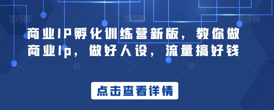 商业IP孵化训练营新版，教你做商业Ip，做好人设，流量搞好钱 - 163资源网-163资源网