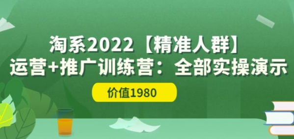 淘宝开店教程2022【精准人群】运营+推广训练营：全部实操演示（价值1980） - 163资源网-163资源网