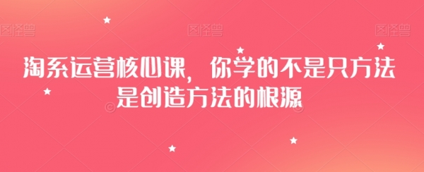 淘系运营核心课，你学的不是只方法是创造方法的根源 - 163资源网-163资源网