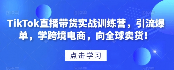 TikTok直播带货实战训练营，引流爆单，学跨境电商，向全球卖货 - 163资源网-163资源网