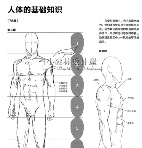 图片[3]-淘宝虚拟货源：男子动态造型 漫画素描教程 肌肉形体 高清绘画素材 人体参考资料 - 163资源网-163资源网