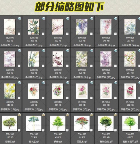 图片[2]-手绘水彩植物花卉图 手绘花卉植物上色画法+其他写实植物花卉素材 - 163资源网-163资源网