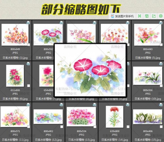 图片[2]-日系小清新水彩花卉植物蔬菜水果参考 手绘水彩插画临摹设计素材 - 163资源网-163资源网