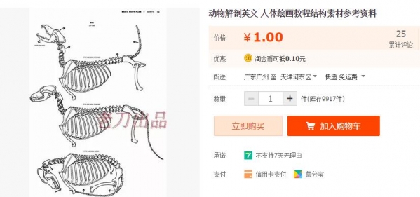 动物解剖英文 人体绘画教程结构素材参考资料 - 163资源网-163资源网