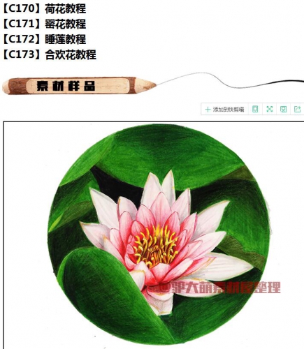 图片[3]-【Z288】彩铅教程手绘零基础荷花莲花睡莲花卉鲜花素材 - 163资源网-163资源网