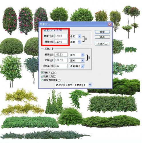 图片[2]-虚拟货源：园林景观设计PSD树木植物近景高清绿化效果图后期PS分层素材专用 - 163资源网-163资源网