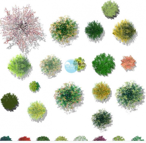 图片[2]-国外园林景观设计PSD彩平图分层贴图 PS彩色平面图植物图例素材 - 163资源网-163资源网
