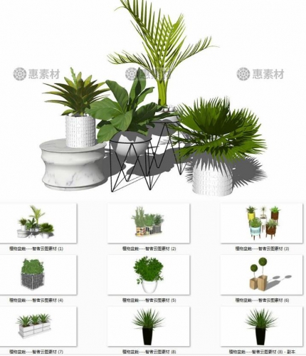 图片[3]-sketchup模型 室内装饰植物盆栽绿植花架花瓶草图大师su模型素材 - 163资源网-163资源网