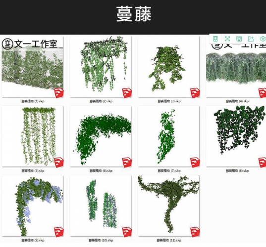 图片[4]-景观园林植物su模型莲花竹子藤曼树木花卉灌木单体草图大师源文件 - 163资源网-163资源网