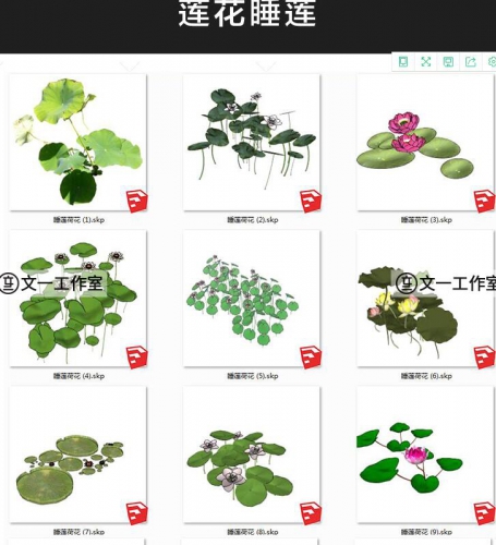 图片[3]-景观园林植物su模型莲花竹子藤曼树木花卉灌木单体草图大师源文件 - 163资源网-163资源网