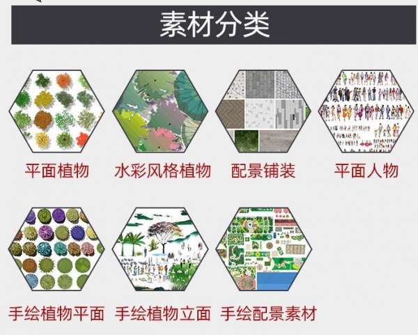 图片[4]-园林景观手绘植物植被彩平图立面图配景铺装PSD源文件PS后期素材 - 163资源网-163资源网