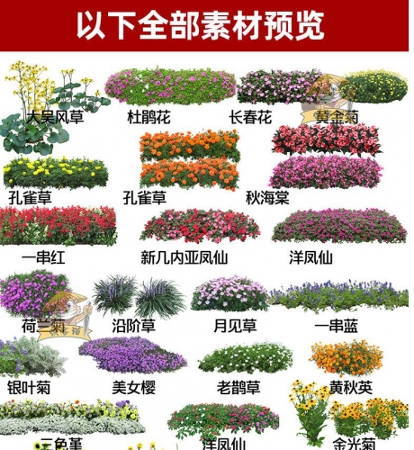 图片[3]-花卉绿篱地被花开植物盆栽花圃花朵园林景观设计PSD分层源文件PS - 163资源网-163资源网