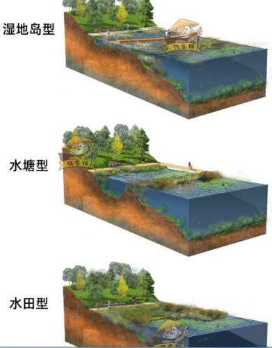 图片[3]-竞赛风海绵城市公园会议中心驳岸类型PSD分层源文件剖面图立面图 - 163资源网-163资源网