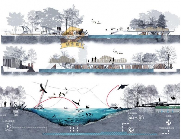 图片[2]-竞赛风蓝灰调滨水湿地城市公园广场剖面图立面图PSD源文件素材 - 163资源网-163资源网