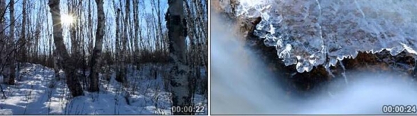 图片[4]-雪景2冬季冬天雪松雪林雪地冬季下雪小河树木实拍宣传视频素材 - 163资源网-163资源网