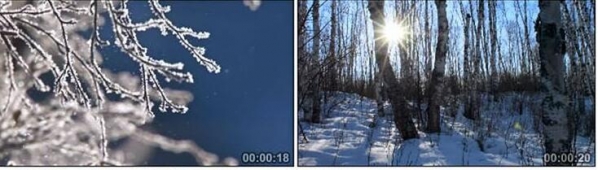 图片[3]-雪景2冬季冬天雪松雪林雪地冬季下雪小河树木实拍宣传视频素材 - 163资源网-163资源网