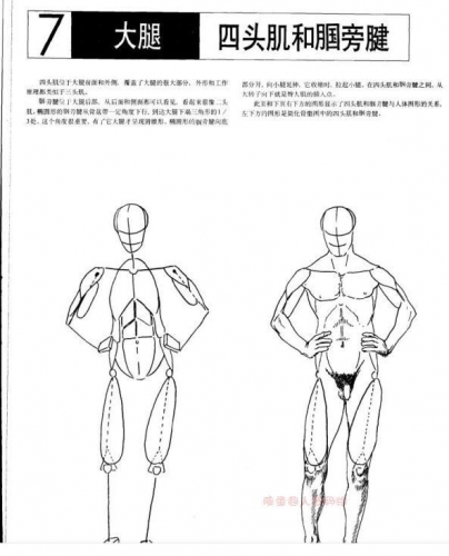 图片[3]-向大师学习如何默写人体 漫画手绘人体参考素材 - 163资源网-163资源网