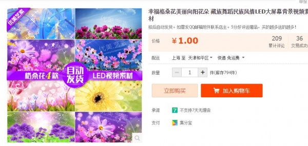 幸福格桑花美丽向阳花朵 藏族舞蹈民族风情LED大屏幕背景视频素材 - 163资源网-163资源网