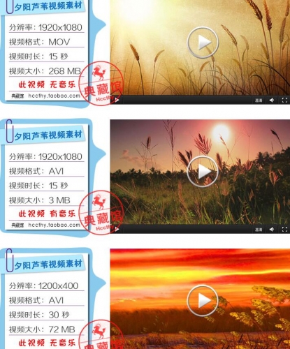 图片[3]-D244夕阳麦田 秋色黄昏 芦苇荡 LED大屏幕晚会舞台背景 视频素材 - 163资源网-163资源网