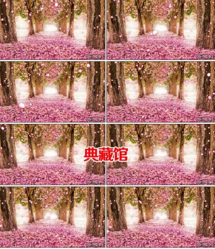 图片[2]-C43唯美树林 浪漫花瓣飘落VJ 高端婚礼入场led大屏幕视频背景素材 - 163资源网-163资源网