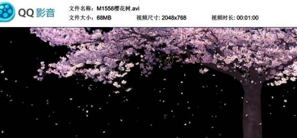 图片[2]-樱花树花瓣飘飞 全息高端婚礼婚庆LED大屏幕高清视频背景素材v - 163资源网-163资源网