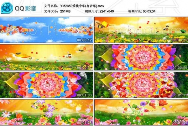 图片[2]-祖国明天会更好绚丽花海 爱我中华民族晚会LED大屏幕视频背景素材 - 163资源网-163资源网