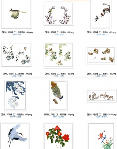 图片[6]-中国复古风工笔画牡丹梅花鹿孔雀鸟莲花卉PNG免抠PS后期设计素材 - 163资源网-163资源网