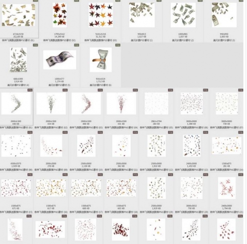 图片[3]-飞溅飘洒飘散落树叶钞票花瓣纸张PSD/PNG/JPG影楼后期PS合成素材 - 163资源网-163资源网