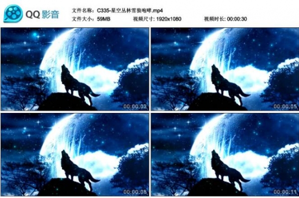 图片[2]-月圆之夜漫天星空 丛林 狼叫场景 晚会表演LED大屏幕视频背景素材 - 163资源网-163资源网