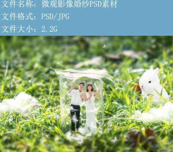 图片[2]-S37微观影像婚纱PSD素材创意婚纱照PSD设计模板微观背景设计素材 - 163资源网-163资源网