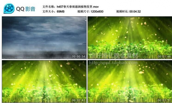 图片[2]-h457春雨滋润春天植物发芽 唯美高端婚礼led大屏幕视频背景素材VJ - 163资源网-163资源网