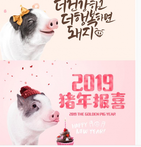 图片[2]-虚拟货源：可爱创意金猪年卡通新年2019年宣传活动海报模板PSD文字设计素材 - 163资源网-163资源网