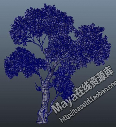 图片[2]-淘宝虚拟货源：maya 模型 素材 植物模型 树木 带材质贴图 - 163资源网-163资源网