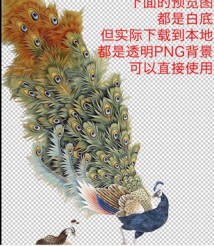 图片[2]-2019 中国古风工笔画牡丹梅花鹿孔雀鸟花卉PNG免抠PS后期素材模板 - 163资源网-163资源网