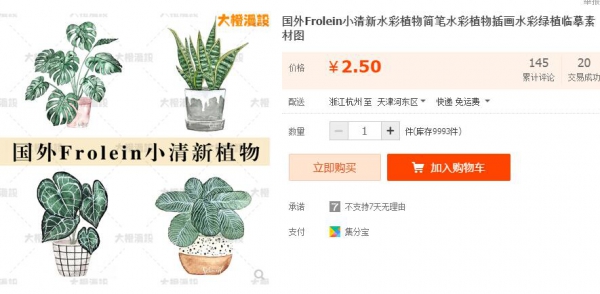 国外Frolein小清新水彩植物简笔水彩植物插画水彩绿植临摹素材图 - 163资源网-163资源网