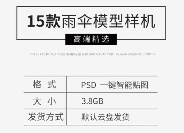 图片[2]-新款雨伞模型样机vi应用logo展示效果智能贴图样机模板PSD模板 - 163资源网-163资源网