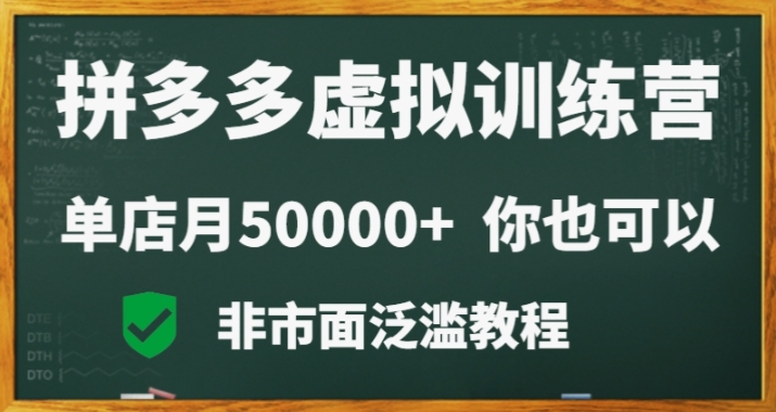 拼多多虚拟电商训练营月入30000+你也行，暴利稳定长久，副业首选 - 163资源网-163资源网