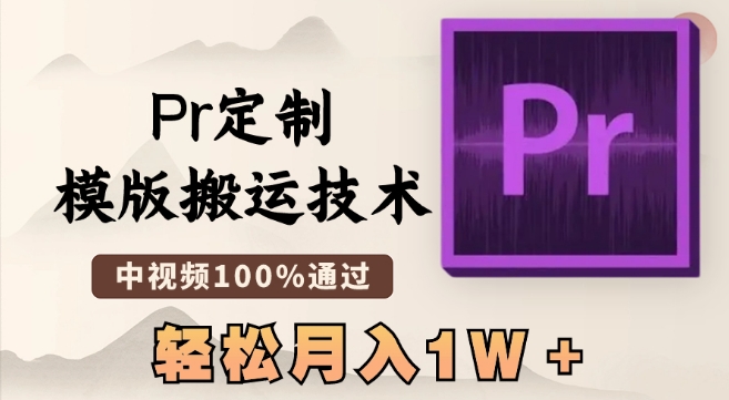 最新Pr定制模版搬运技术，中视频100%通过，几分钟一条视频，轻松月入1W＋【揭秘】 - 163资源网-163资源网