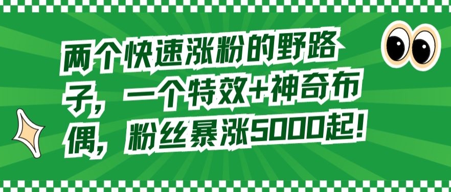 两个快速涨粉的野路子，一个特效+神奇布偶，粉丝暴涨5000起【揭秘】 - 163资源网-163资源网