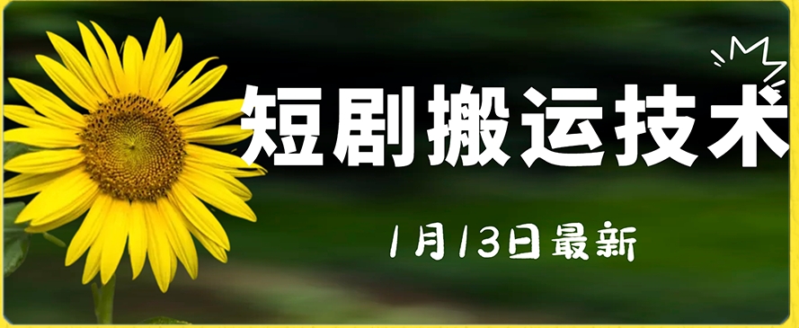 最新短剧搬运技术，电脑手机都可以操作，不限制机型 - 163资源网-163资源网