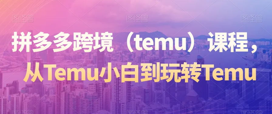 拼多多跨境（temu）课程，从Temu小白到玩转Temu - 163资源网-163资源网