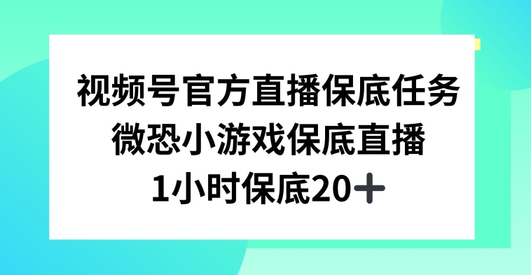 视频号直播任务，微恐小游戏，1小时20+【揭秘】 - 163资源网-163资源网