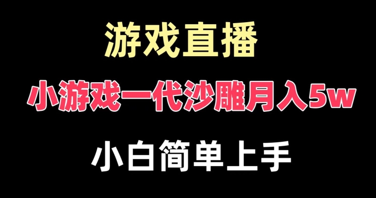 玩小游戏一代沙雕月入5w，爆裂变现，快速拿结果，高级保姆式教学【揭秘】 - 163资源网-163资源网