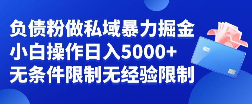 负债粉私域暴力掘金，小白操作入5000，无经验限制，无条件限制【揭秘】 - 163资源网-163资源网